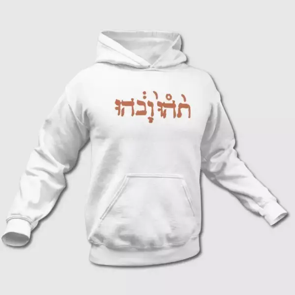 Godspeed You! Black Emperor Slow Riot For New Zero Kanada Hoodie, Godspeed You! Black Emperor Hooded Sweatshirt, Rock Merch