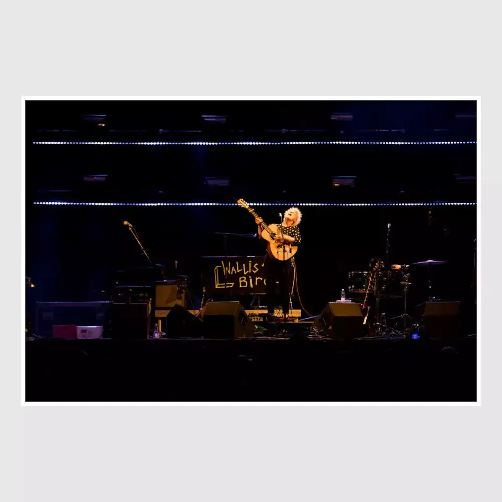 Wallis Bird Poster, Folk, Rockabilly, Acoustic Poster